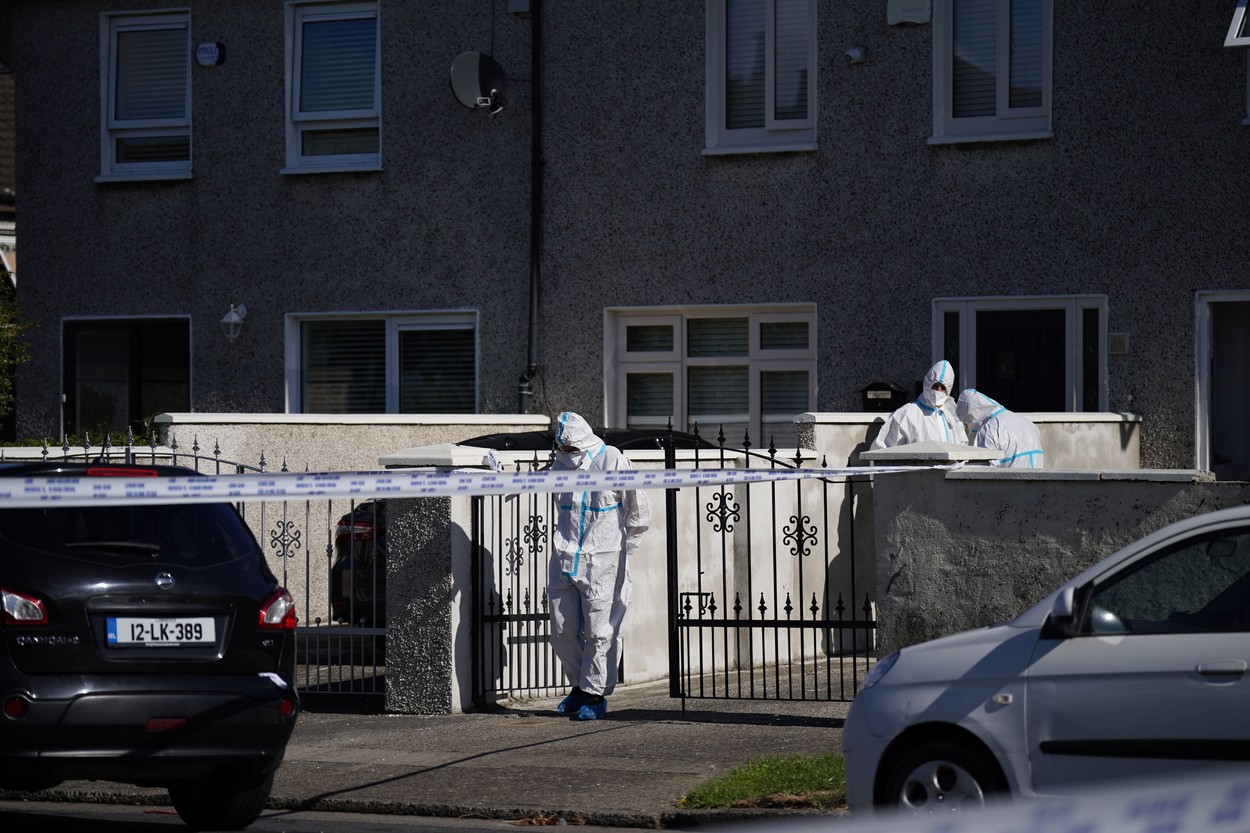 O fată de 18 ani și frații ei de 8 ani, gemeni, au fost uciși într-o casă din Dublin