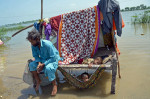 inundatii pakistan (14)