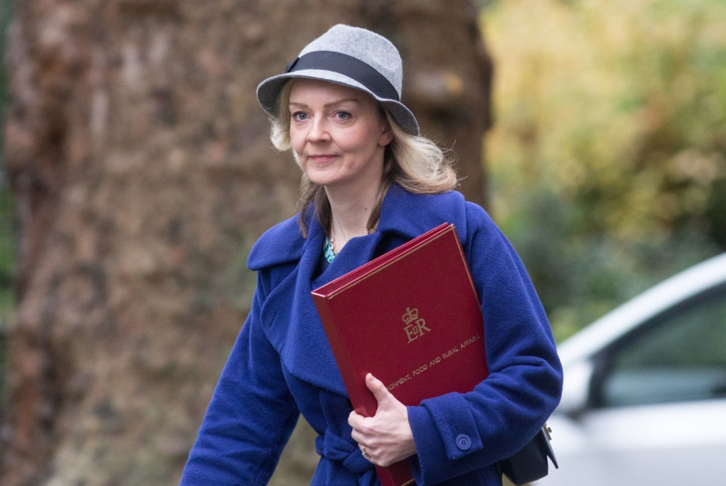 Cabinet meeting Downing street,London,Britain-24th Nov 2015