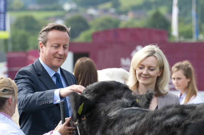 David Cameron visits the Royal Welsh Show, Wales, Britain - 21 Jul 2014