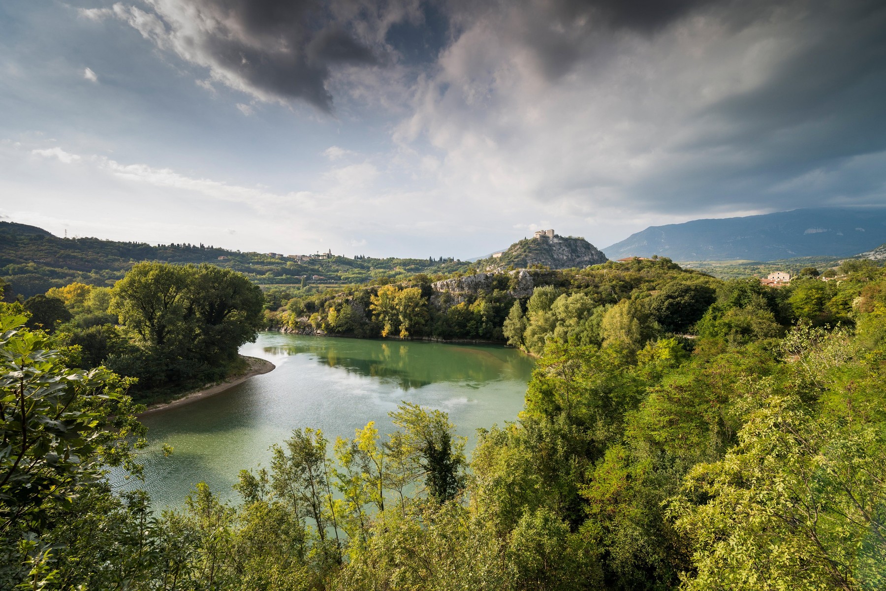 Comisia Europeană: Biodiversitatea în UE este în continuă scădere