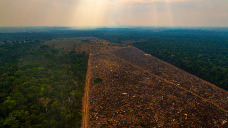 Defrișări în pădurea amazoniană braziliană.