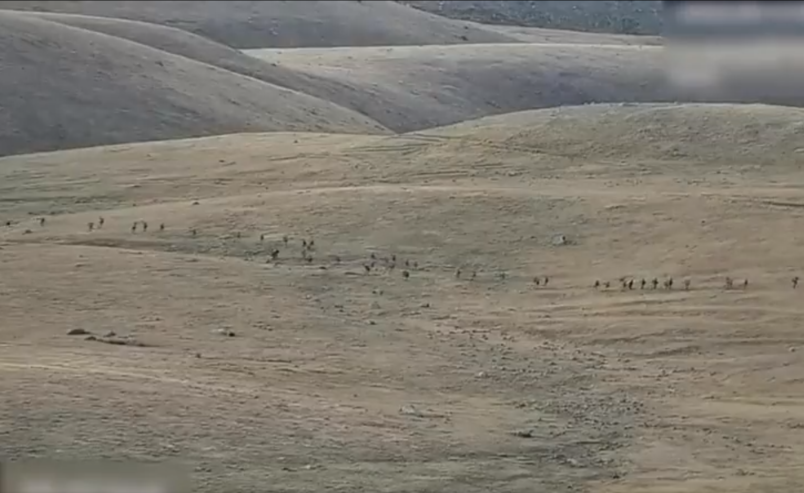 Noi lupte la granița Armenia – Azerbaidjan, după ce aproape 100 de militari au murit în urmă cu o zi