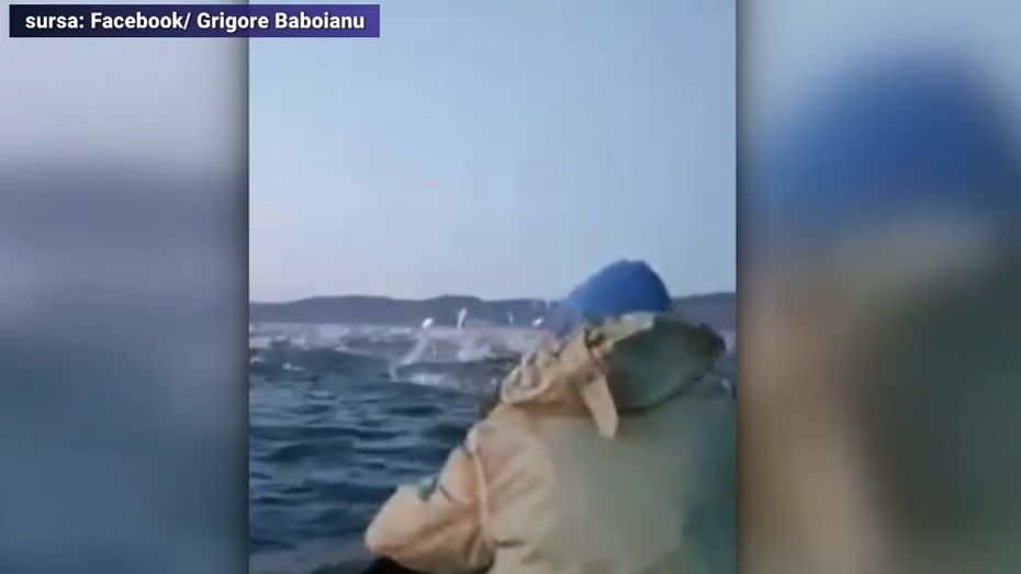 VIDEO. Zeci de pesti sar spectaculos din apa pe un lac din Babadag