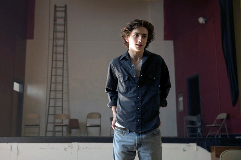 Timothée Chalamet (6)