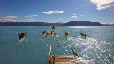 Gheață topită în Groenlanda traversată de sănii trase de câini