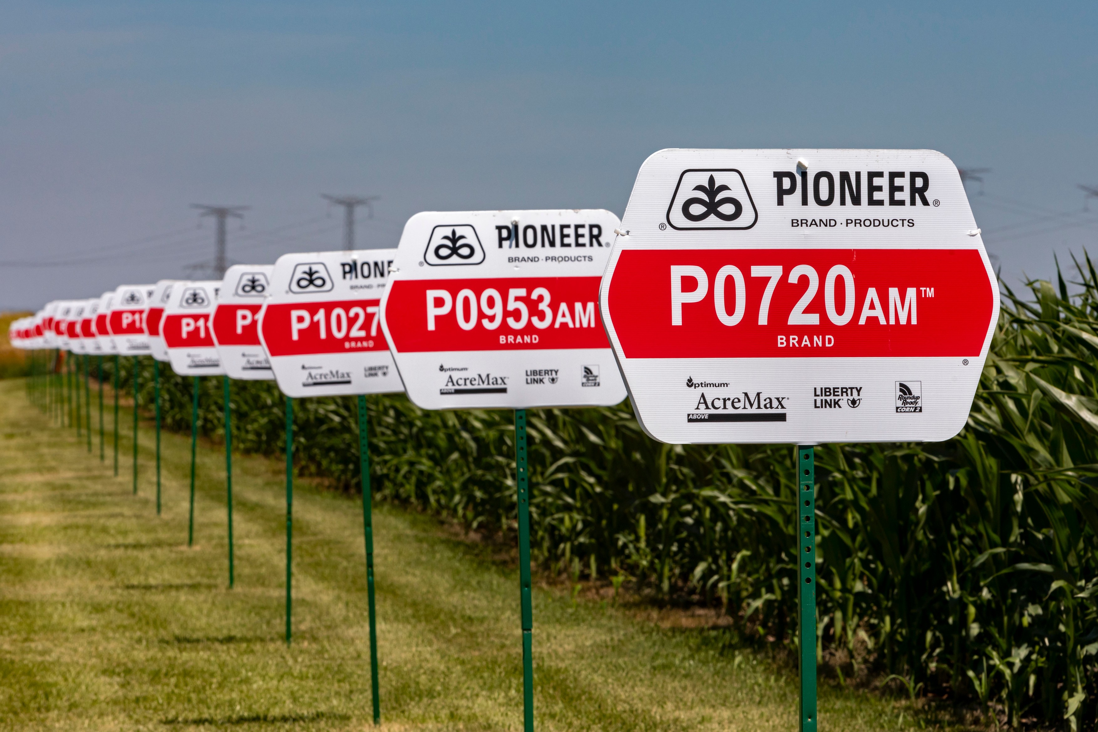 UE, schimbare de atitudine față de organismele modificate genetic. Scopul: culturi agricole mai rezistente la schimbările climatice