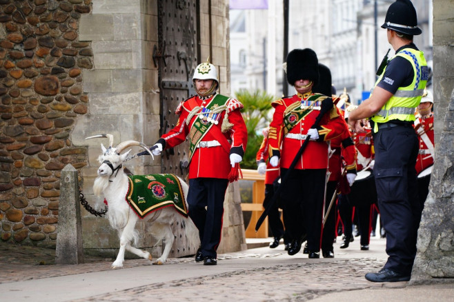 Lance Corporal Shenkin IV, the regimental mascot goat, accompanies the 3rd Battalion of the Royal Welsh regiment at the Accession Proclamation Ceremony at Cardiff Castle, Wales, publicly proclaiming King Charles III as the new monarch. Picture date: Sunda