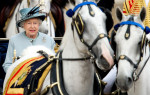 Regina Elisabeta a II-a a cultivat o iubire pentru cai în copilărie, pasiunea a crescut în fiecare an și s-a stins doar odată cu dispariția suveranei. Foto Profimedia Images (6)