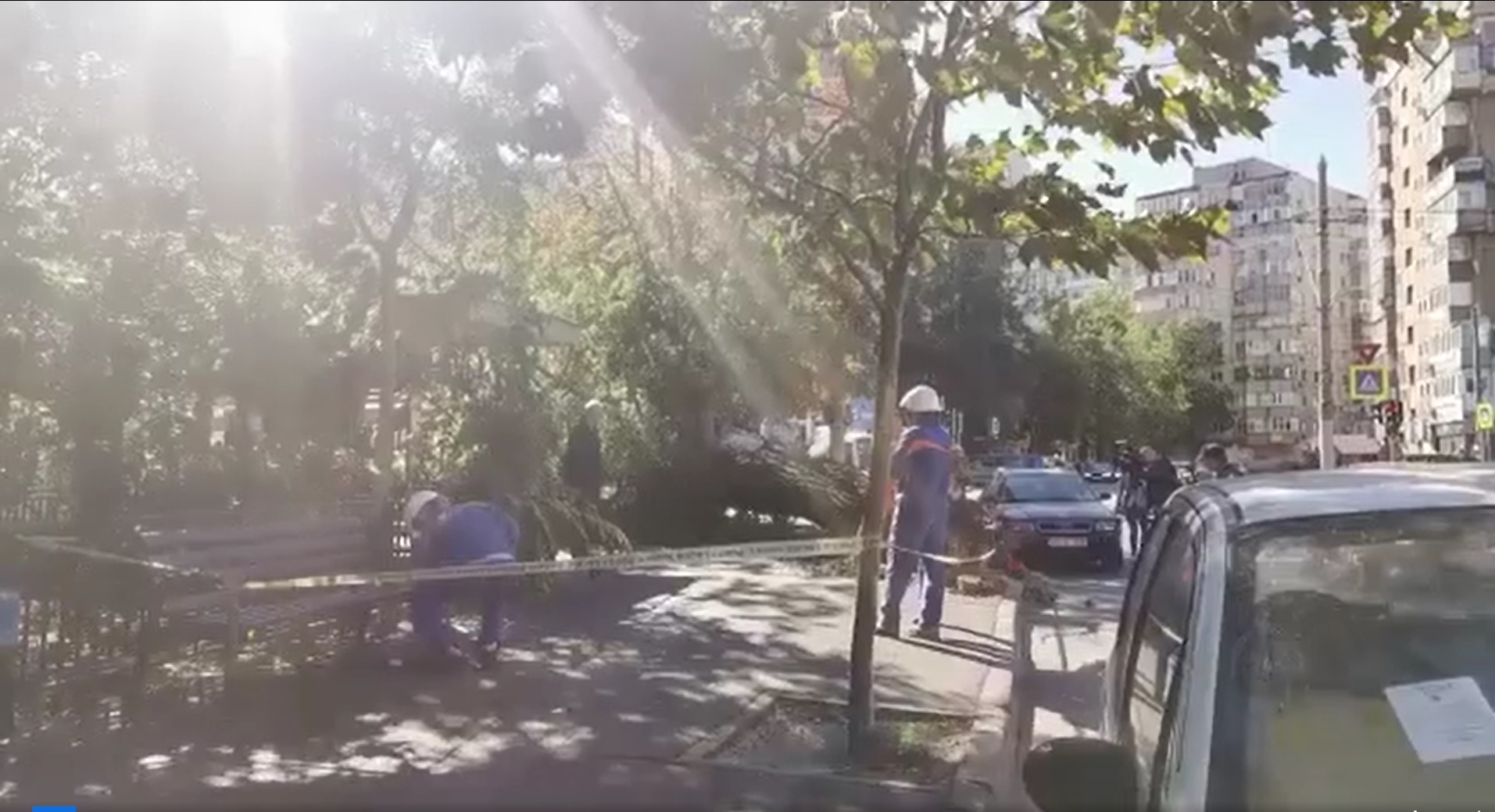 Copaci căzuți pe mașini și rețele electrice. ISU intervine în București, Ilfov și Constanța ca urmare a vântului puternic