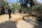 Un fermier palestinian a descoperit un mozaic bizantin