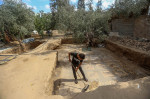 Un fermier palestinian a descoperit un mozaic bizantin