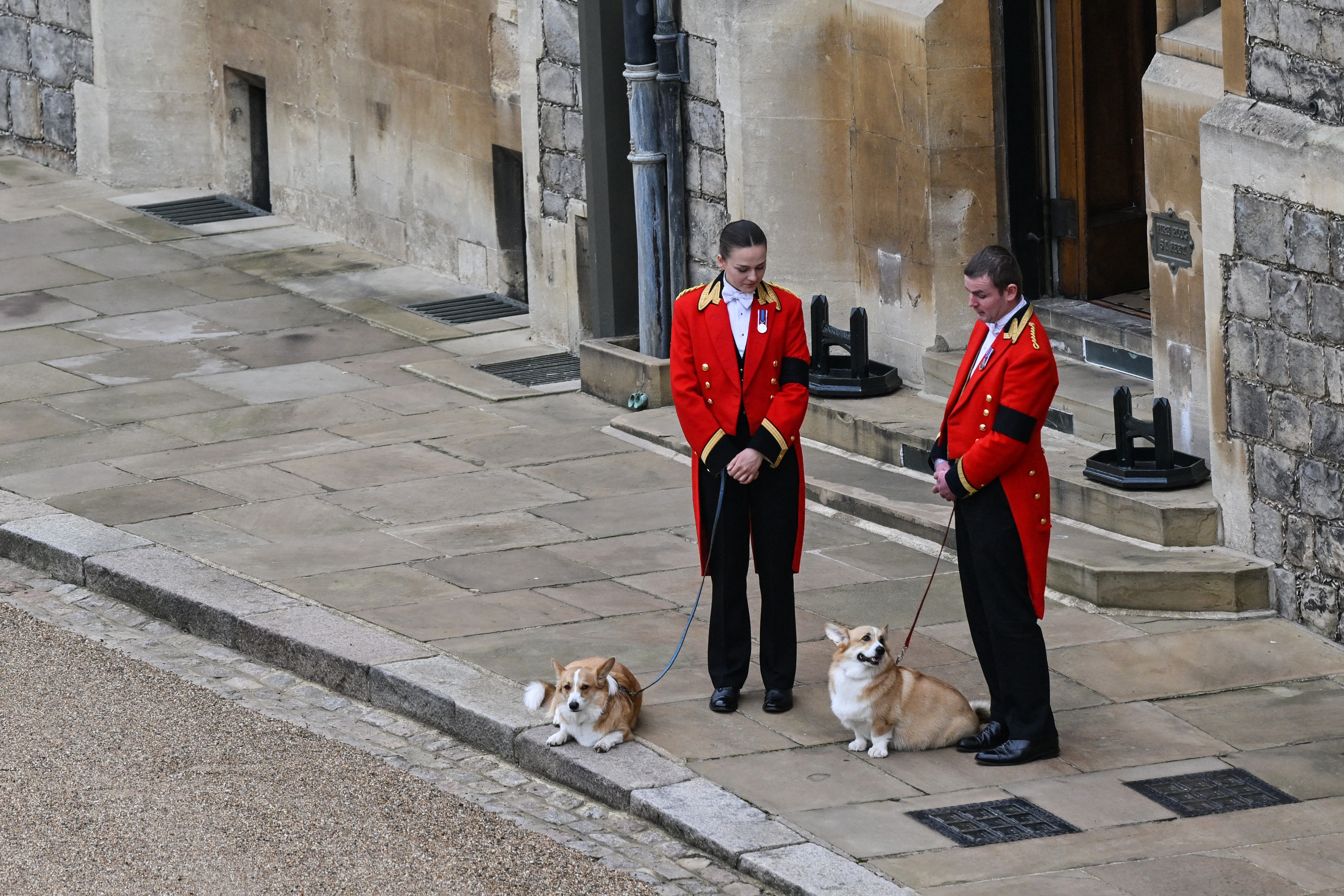 Corgii reginei Elisabeta a II-a au așteptat-o pe suverană la Castelul Windsor, pentru ultima dată