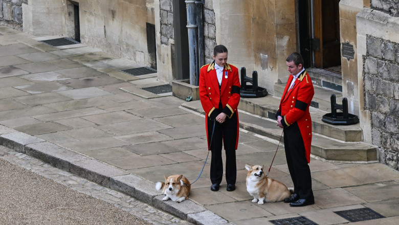 Corgii reginei Elisabeta a II-a au așteptat-o pe suverană la Castelul Windsor, pentru ultima dată