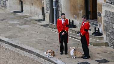 Corgii reginei Elisabeta a II-a au așteptat-o pe suverană la Castelul Windsor, pentru ultima dată