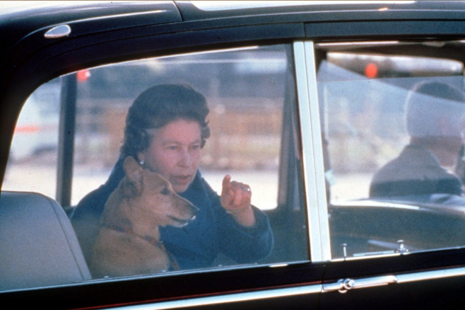 QUEEN ELIZABETH II AND ONE OF HER CORGIS, HEATHROW AIRPORT, LONDON, BRITAIN - OCT 1986