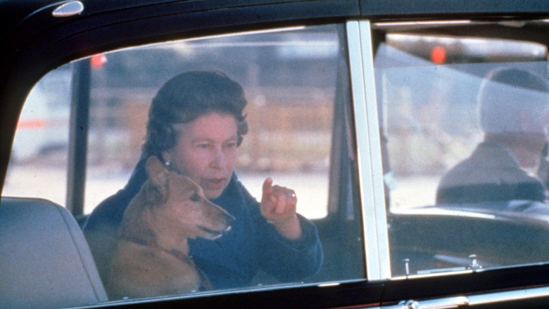QUEEN ELIZABETH II SITTING IN THE BACK SEAT OF HER CHAUFFEUR DRIVEN CAR, POINTING OUT OF THE WINDOW TO HER PET CORGI
