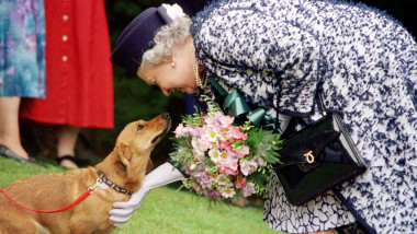 Queen Elizabeth II during a visit to the Roman site of Vindolanda near Hadrian's Wall in Northumberland, with a corgi bred by the Queen and then owned by Lady Beaumont