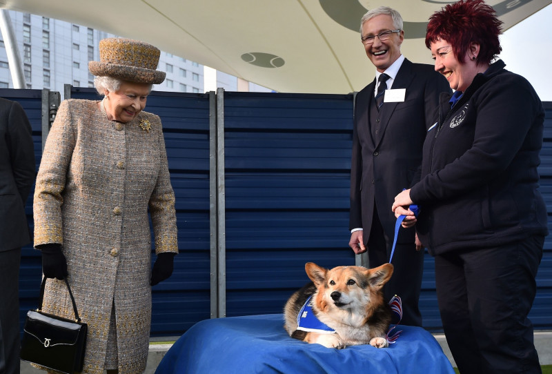 Opening of the New Mary Tealby Dog Kennels at Battersea Dogs and Cats Home, London, Britain - 17 Mar 2015