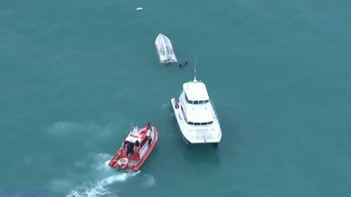 VIDEO O balenă ar fi răsturnat o barcă, în Noua Zeelandă. 5 turiști au murit