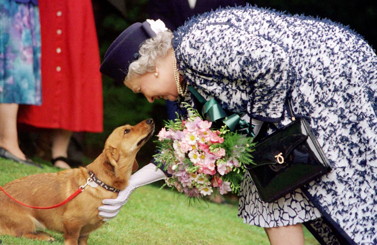Corgii regali vor ajunge în casa ducilor de York. Regina își plimba câinii la Windsor alături de fosta soție a prințului Andrew