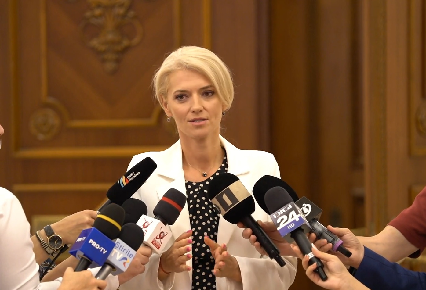 Gorghiu, după înjurăturile adresate de membri TNL celor de la TSD: Vom fi mult mai atenţi la selecţia celor care merg în şcoli de vară