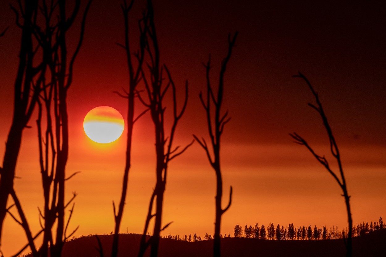 „Mega-seceta” din sud-vestul Statelor Unite este un dezastru climatic nemaiîntâlnit în ultimii 1.200 de ani