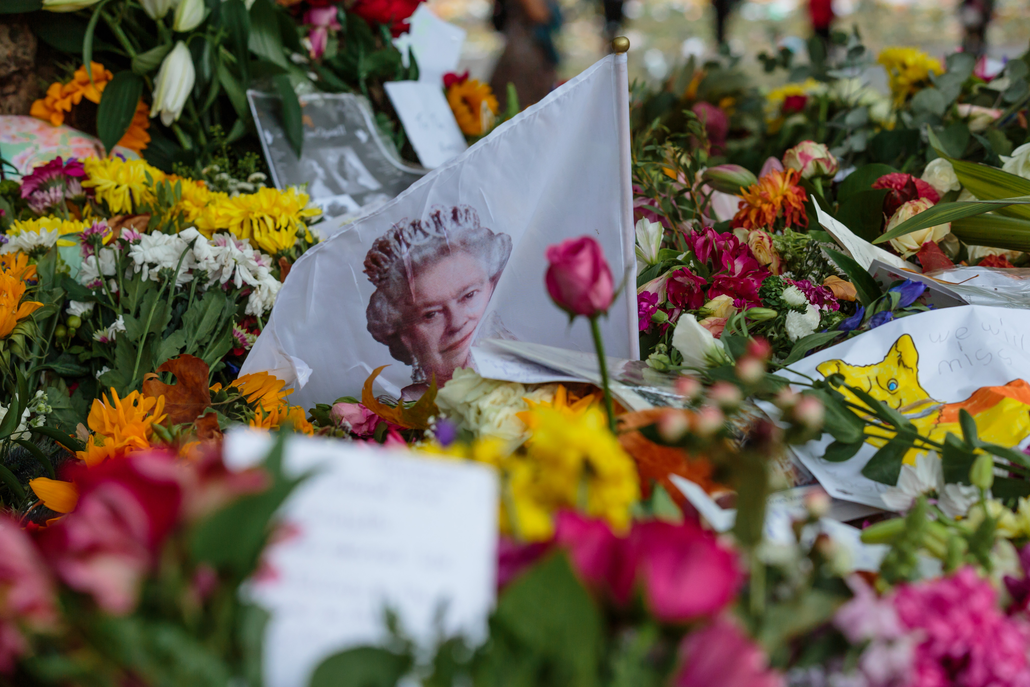 Turcia trimite 13 tone de flori în Marea Britanie pentru funeraliile reginei Elisabeta a II-a