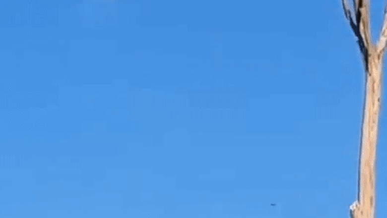 Momentul în care ucrainenii reușesc să distrugă o dronă kamikaze a armatei ruse