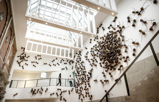 Creepers: 700 giant ants in the Rijksmuseum