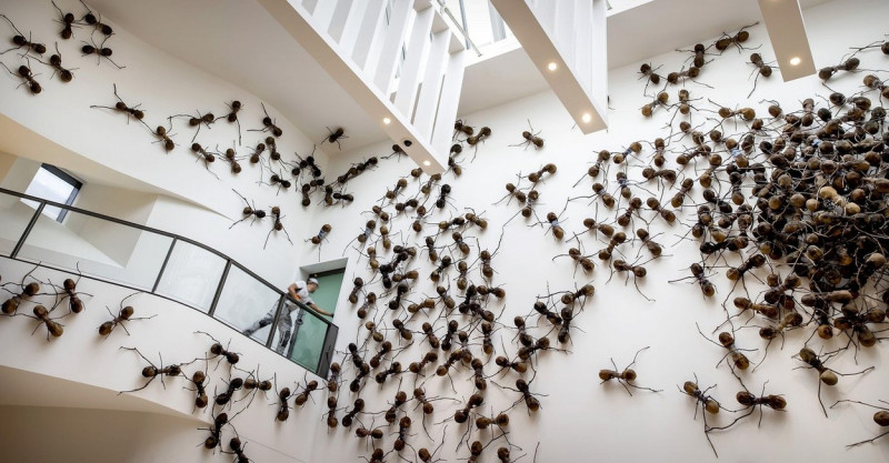 Amsterdam, Netherlands. 16th Sep, 2022. 2022-09-16 10:28:00 AMSTERDAM - Visitors to the exhibition Undercovers in the Rijksmuseum. The artwork, 700 ants each nearly a meter long, depicts the migration and forced displacement of people around the world. AN