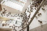 Amsterdam, Netherlands. 16th Sep, 2022. 2022-09-16 10:20:12 AMSTERDAM - Visitors to the exhibition Ondercreesels in the Rijksmuseum. The artwork, 700 ants each nearly a meter long, depicts the migration and forced displacement of people around the world.