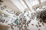 Amsterdam, Netherlands. 16th Sep, 2022. 2022-09-16 10:28:00 AMSTERDAM - Visitors to the exhibition Ondercreesels in the Rijksmuseum. The artwork, 700 ants each nearly a meter long, depicts the migration and forced displacement of people around the world.