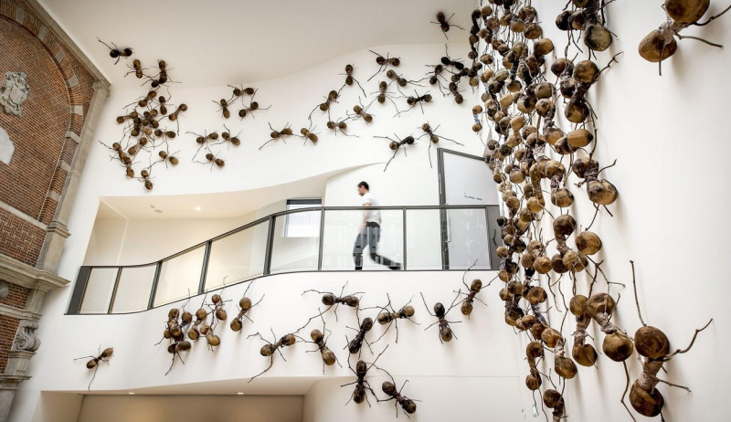 Amsterdam, Netherlands. 16th Sep, 2022. 2022-09-16 10:17:27 AMSTERDAM - Visitors to the exhibition Undercovers in the Rijksmuseum. The artwork, 700 ants each nearly a meter long, depicts the migration and forced displacement of people around the world. AN