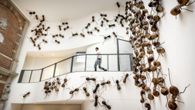 Amsterdam, Netherlands. 16th Sep, 2022. 2022-09-16 10:17:27 AMSTERDAM - Visitors to the exhibition Undercovers in the Rijksmuseum. The artwork, 700 ants each nearly a meter long, depicts the migration and forced displacement of people around the world. AN