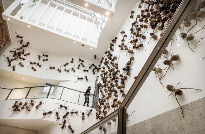 Amsterdam, Netherlands. 16th Sep, 2022. 2022-09-16 10:20:15 AMSTERDAM - Visitors to the exhibition Ondercreesels in the Rijksmuseum. The artwork, 700 ants each nearly a meter long, depicts the migration and forced displacement of people around the world.