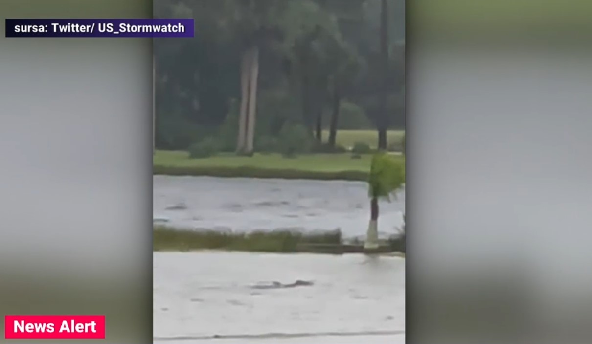 VIDEO Rechin filmat pe o stradă din Florida, după inundațiile catastrofale provocate de uraganul Ian