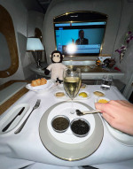 MAN TRAVELS 4 MILLION MILES TO DINE IN DIFFERENT AIRPLANES