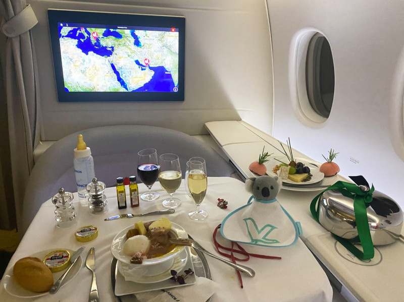 MAN TRAVELS 4 MILLION MILES TO DINE IN DIFFERENT AIRPLANES