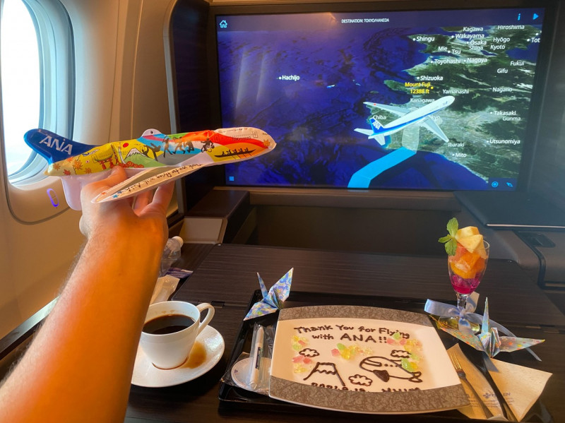 MAN TRAVELS 4 MILLION MILES TO DINE IN DIFFERENT AIRPLANES