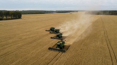 Combinele recoltează grâul în Rusia