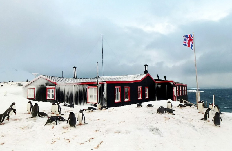 Port-Lockroy-Antarctica (2)