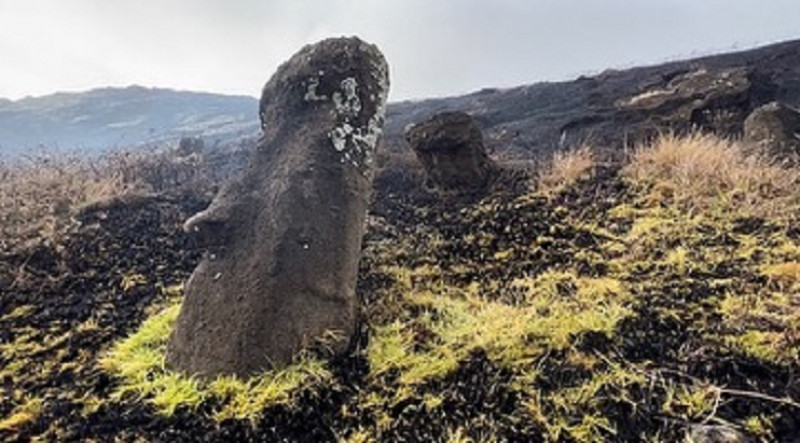 statui moai (5)