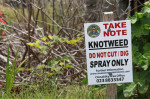 Treated knotweed plants and warning sign in the Republic of Ireland