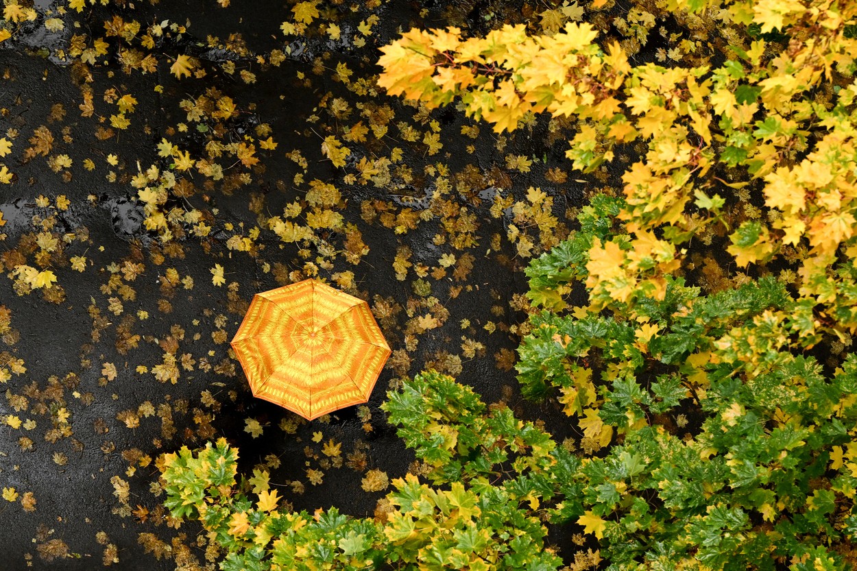 Vremea se schimbă, după ce o masă de aer rece va acoperi toată țara. Prognoza meteo pentru următoarele săptămâni