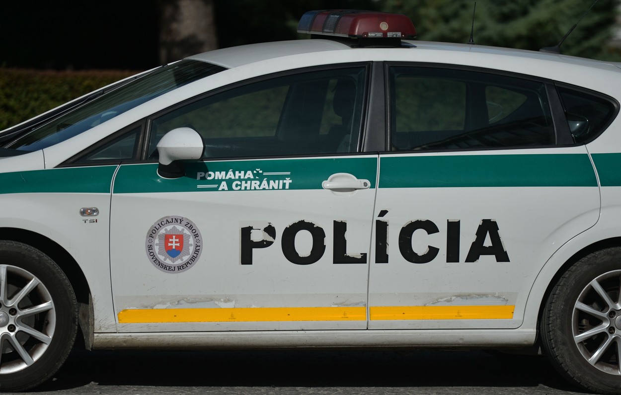 Cinci persoane au murit în Bratislava după ce un şofer beat a intrat cu maşina într-un grup de studenţi