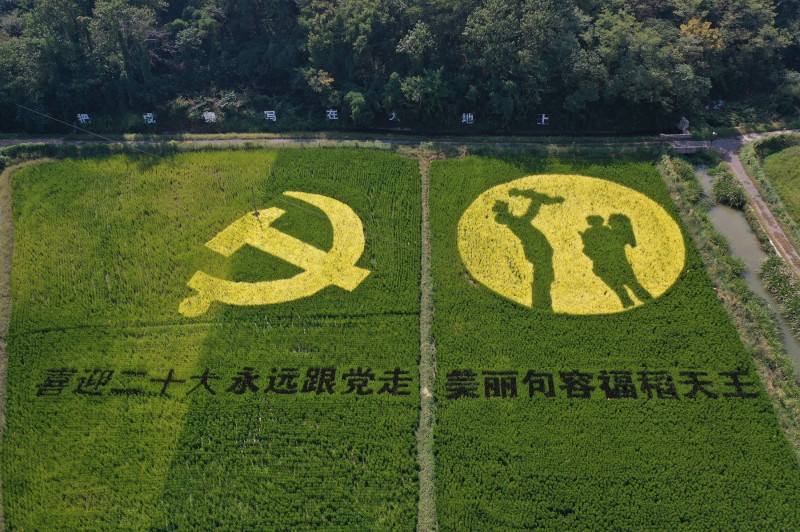 China: Paddy Painting