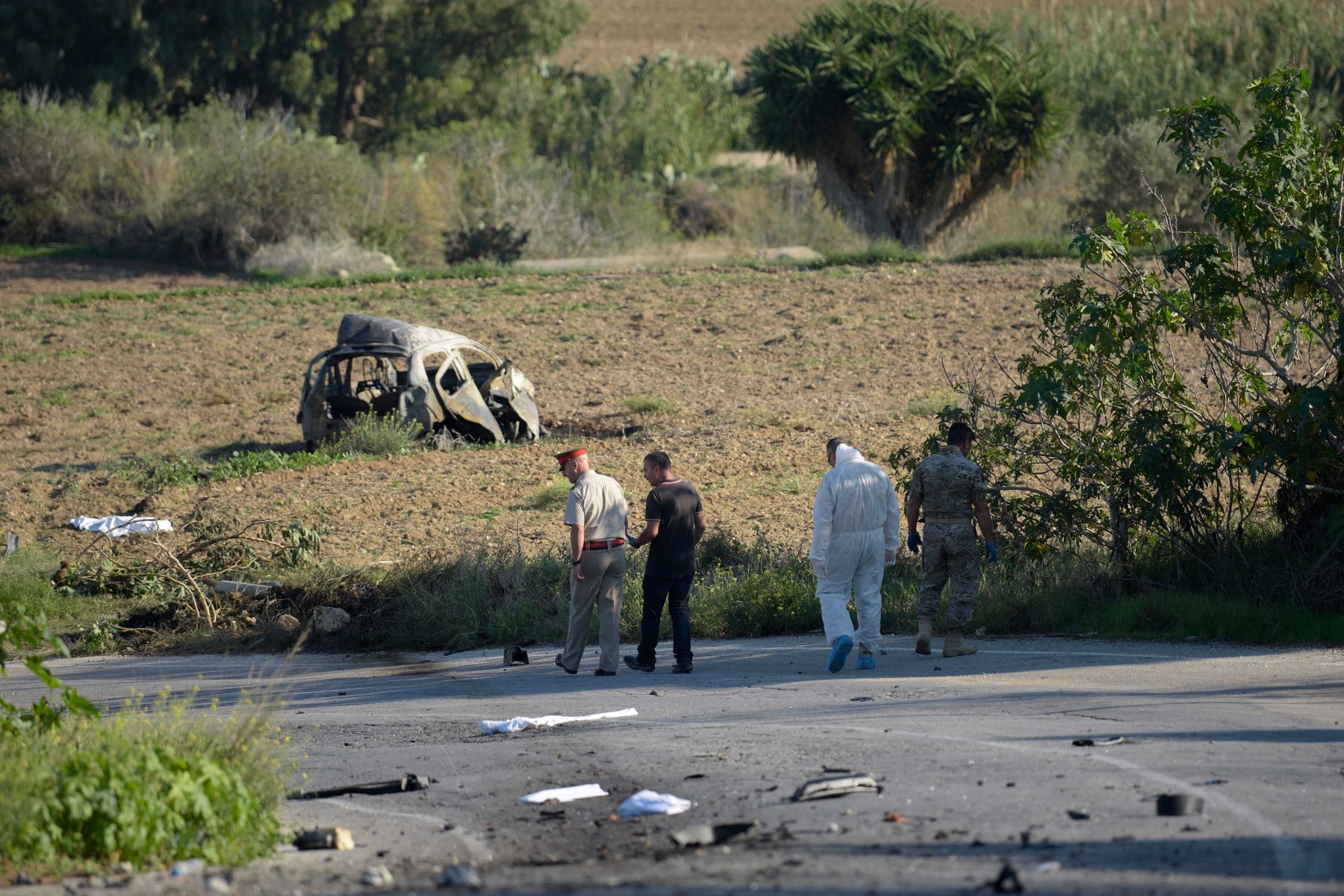 Doi frați au fost condamnați la 40 de ani de închisoarea pentru uciderea jurnalistei Daphne Caruana Galizia în Malta