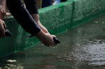 Release Of Ajolotes In Xochimilco, Mexico City - 16 Feb 2022