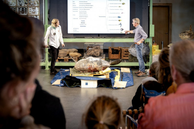 Leiden, Netherlands. 17th Sep, 2022. 2022-09-17 10:33:40 LEIDEN - A frozen sunfish weighing 400 kilograms in the Naturalis nature museum. The animal, almost 2 meters long and 184 centimeters high, washed ashore on Ameland last winter. On Saturday, under t